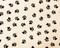 White-Multi Polyester Paw Printed Polar Fleece Knit Fabric By the Yard